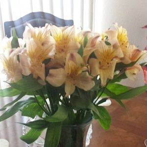 Meet your Posher, Janet